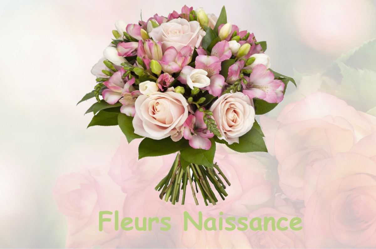 fleurs naissance LE-FRASNOIS