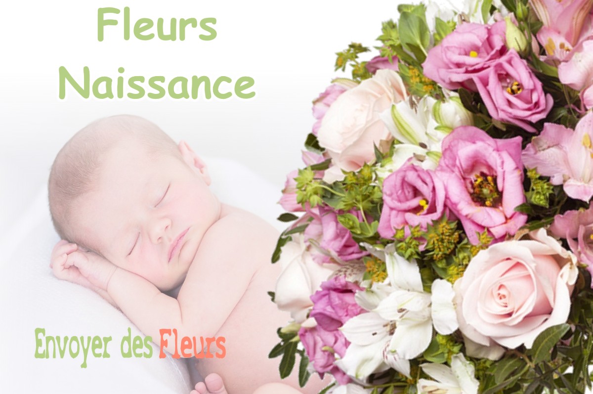 lIVRAISON FLEURS NAISSANCE à LE-FRASNOIS